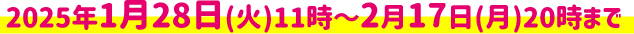 2025年1月28日(火)11時〜2月17日(月)20時まで