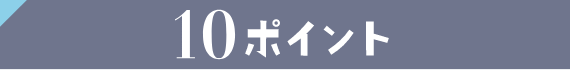 10ポイント