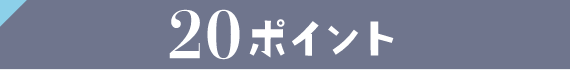 20ポイント