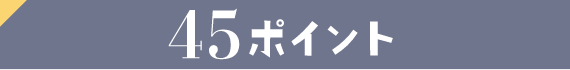 45ポイント