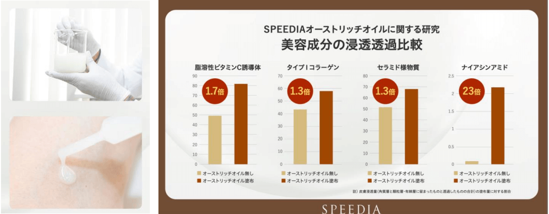 オーストリッチオイルに関する研究/美容成分の浸透透過比較したイラスト