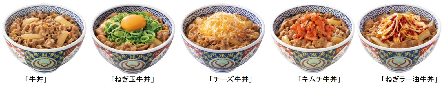 各種牛丼の画像