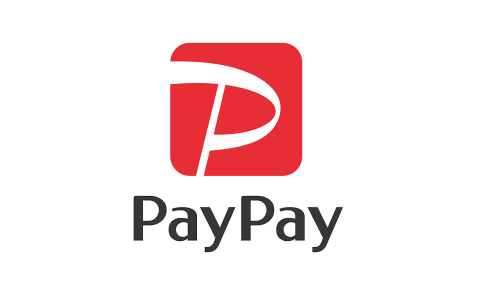 pay_pay