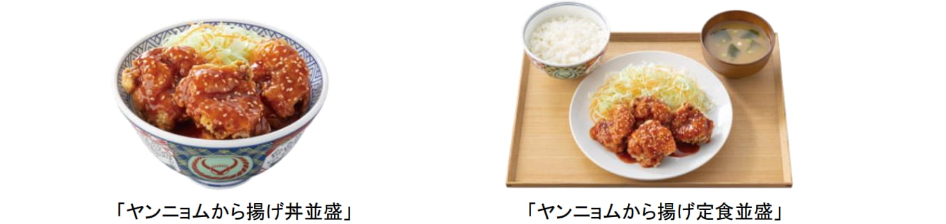 ヤムニョムから揚げ丼並盛」「ヤムニョムから揚げ定食並盛」の商品画像